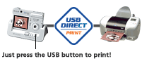 USB DIRECT