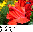 MF Assist on (Mode 1)