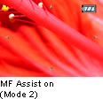 MF Assist on (Mode 2)
