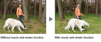 Digital Movie Anti-Shake Function for Blur-Free Movies