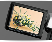 Large,Easy-to-View,2.5-Inch TFT LCD Monitor